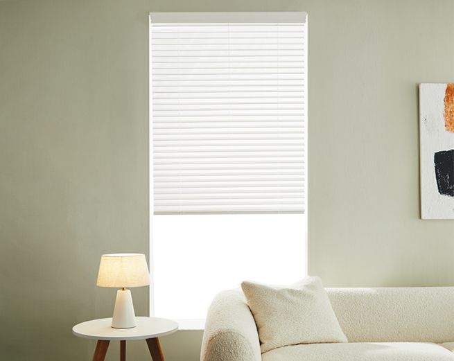 Window Blinds